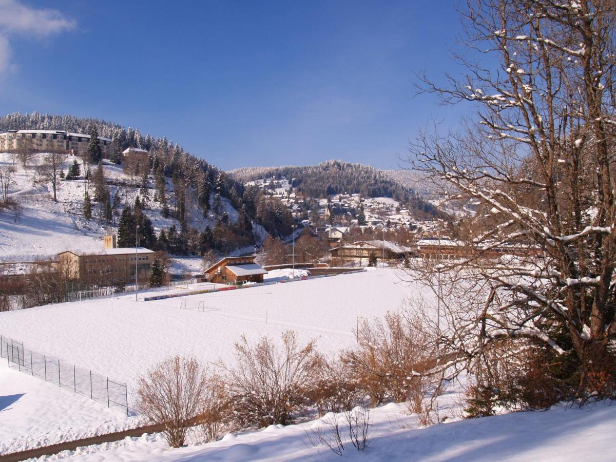 Birke 9, 10 Oder 11 Apartment Todtmoos Exterior foto