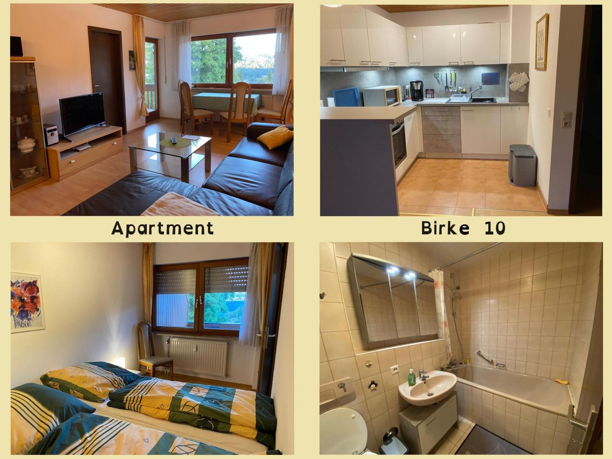Birke 9, 10 Oder 11 Apartment Todtmoos Exterior foto