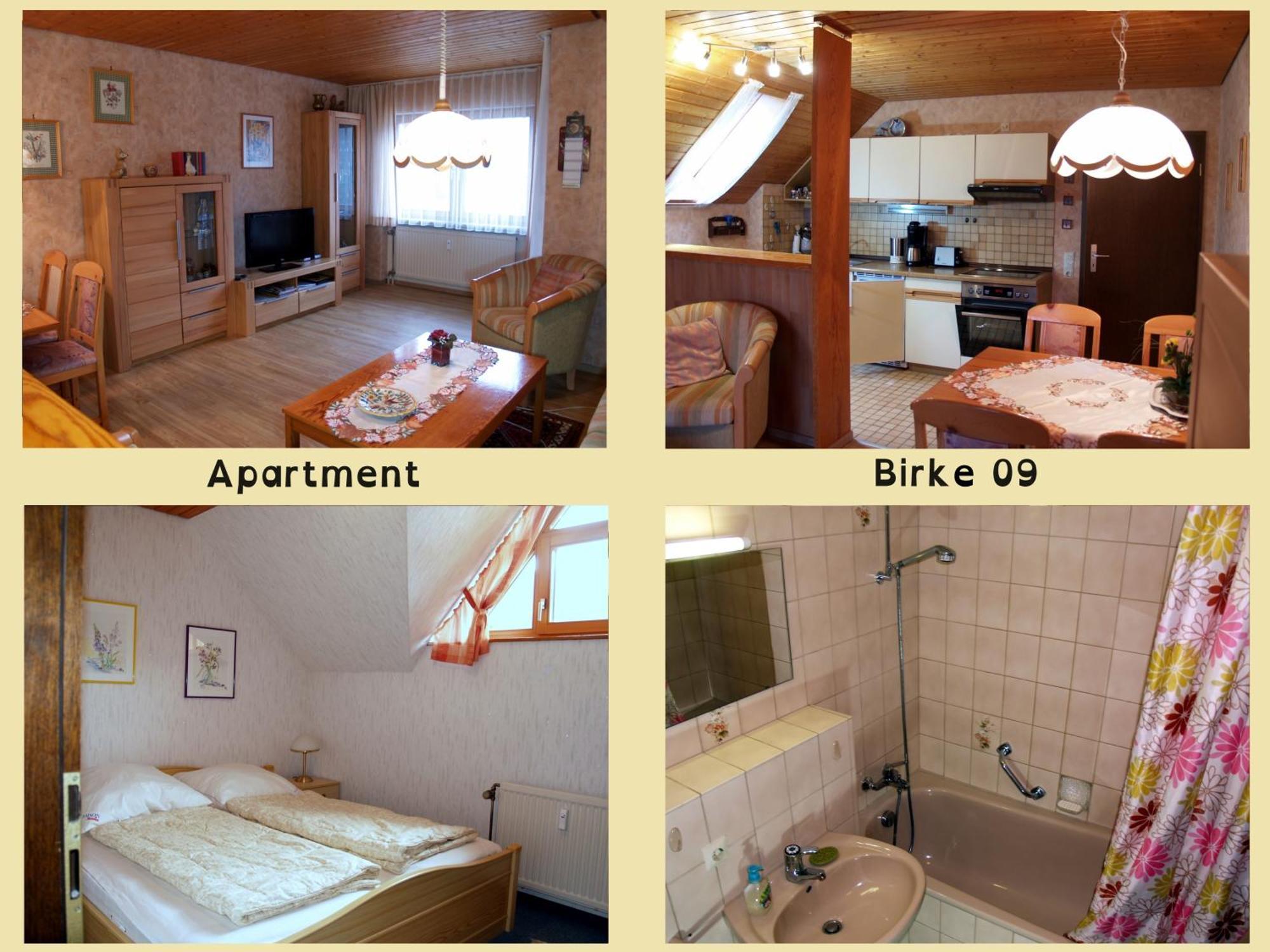 Birke 9, 10 Oder 11 Apartment Todtmoos Exterior foto